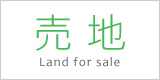 売地