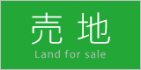 売地